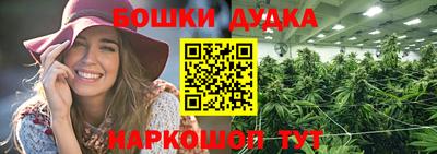 альфа пвп Новодвинск