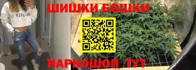 альфа пвп Новодвинск